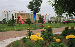 图书馆