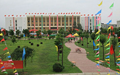 图书馆1